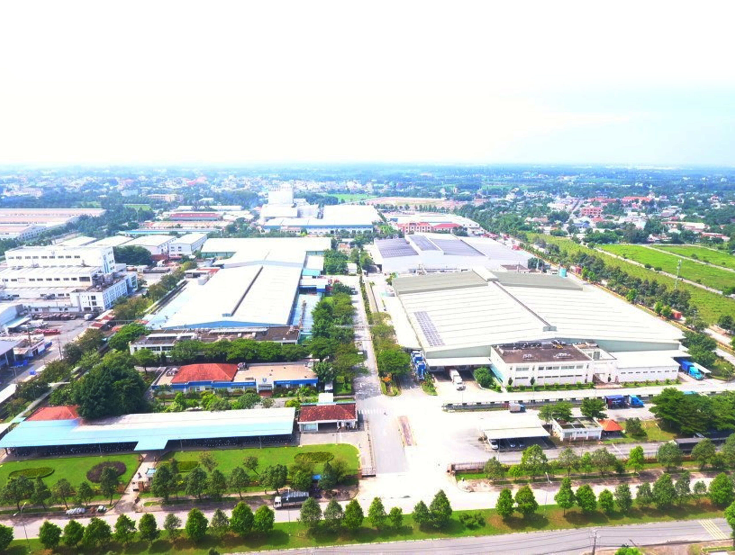 unilever 01 overview